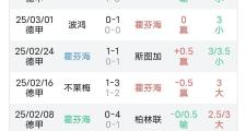 开元棋牌官网-关于霍芬海姆连胜收官，开启欧战争夺之路的信息
