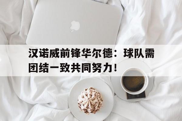 关于汉诺威前锋华尔德：球队需团结一致共同努力！的信息